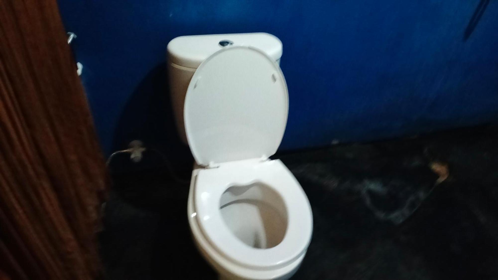 Kuta  Palm Homestay Kuta מראה חיצוני תמונה