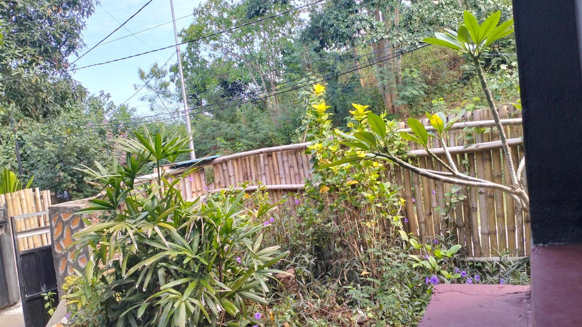 Kuta  Palm Homestay Kuta מראה חיצוני תמונה