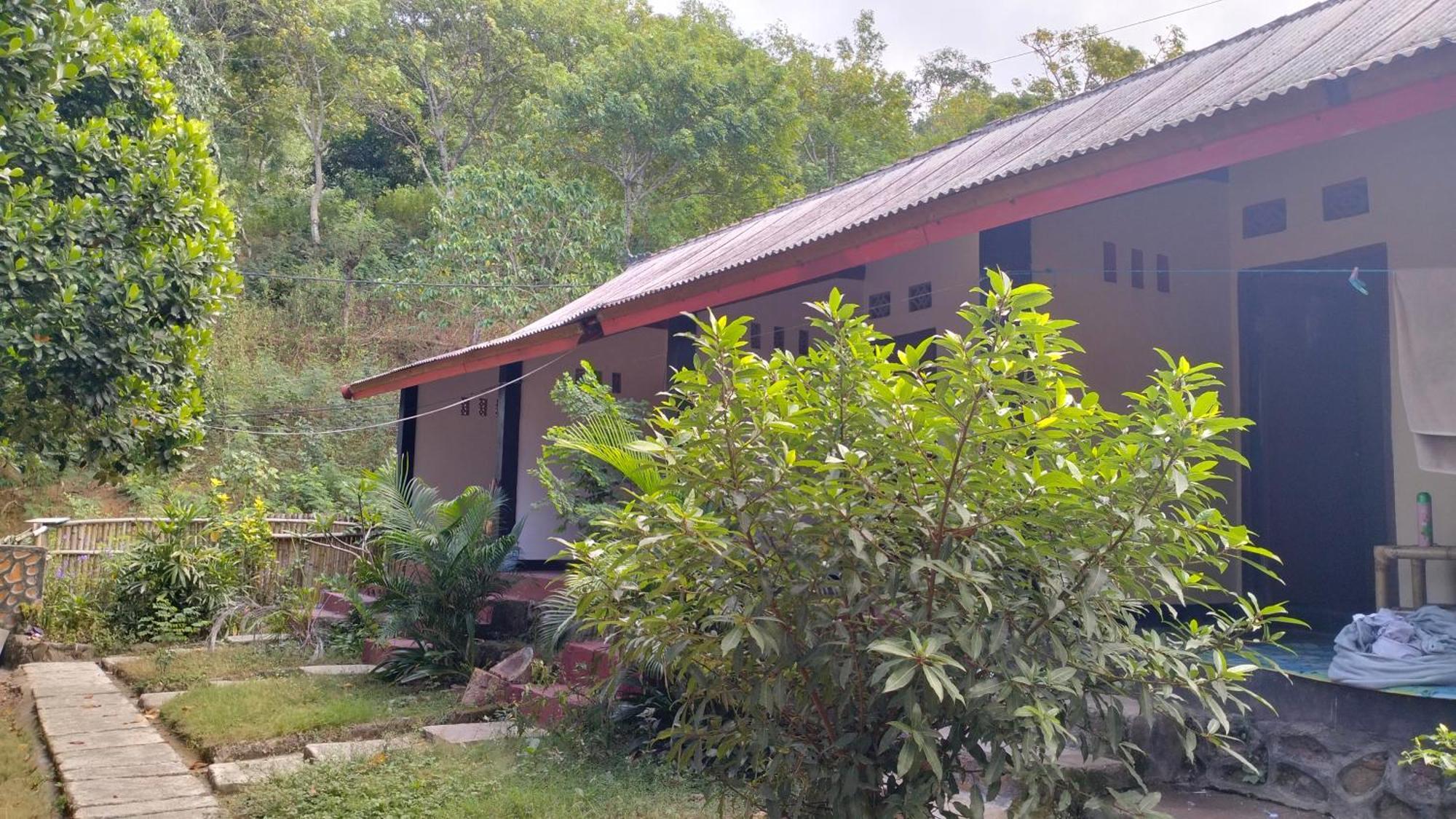 Kuta  Palm Homestay Kuta מראה חיצוני תמונה