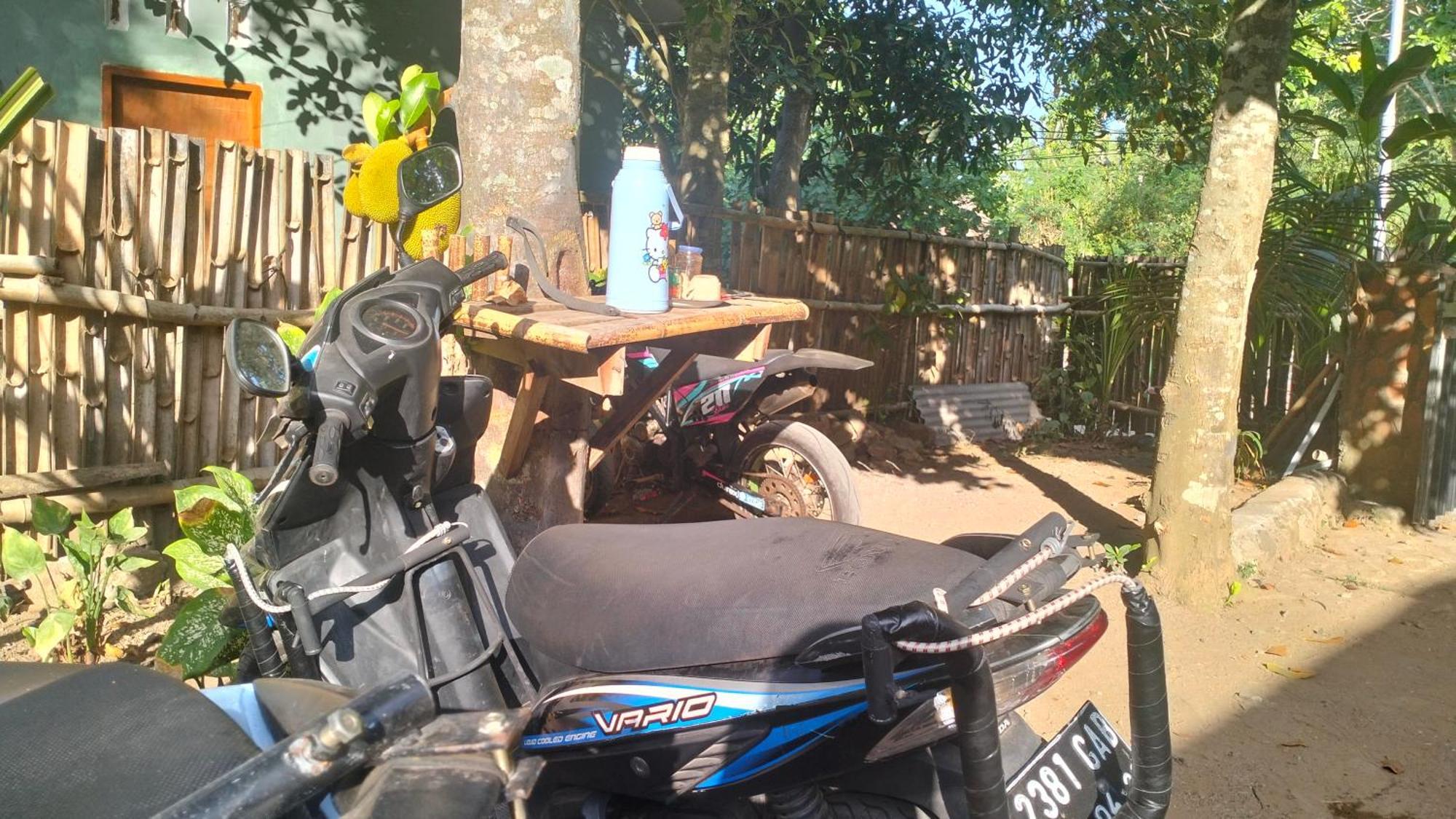 Kuta  Palm Homestay Kuta מראה חיצוני תמונה